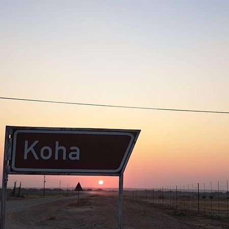 Koha Guesthouse Mariental Ngoại thất bức ảnh